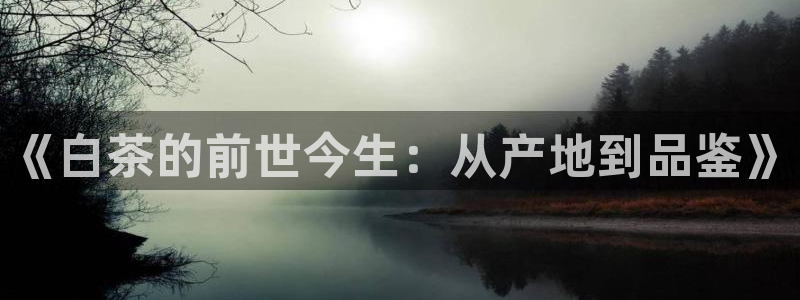 一点文学txt免费：《白茶的前世今生：从产地到品鉴》