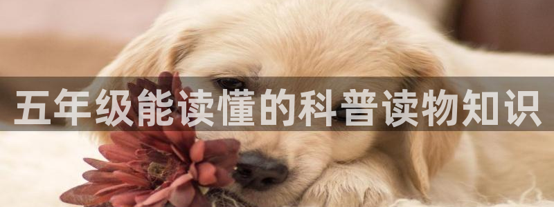 一点文学：五年级能读懂的科普读物知识