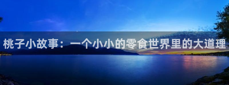 一点文学小说排行榜一点文学小说txt下载：桃子小故事：一个小小的零食世界里的大道理